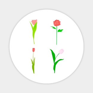 Spring flowers tulip Magnet